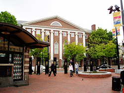 ハーバード大学